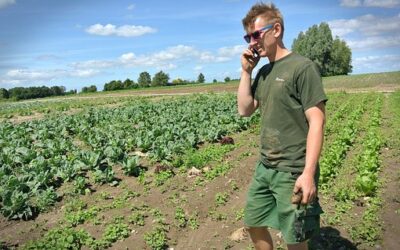 Aanvraagloket opent voor steun jonge landbouwers